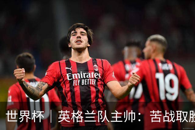 世界杯｜英格兰队主帅：苦战取胜有助于淘汰赛