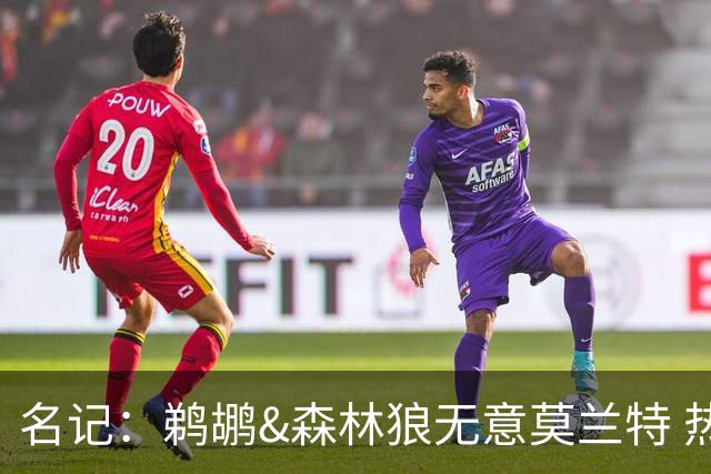 名记：鹈鹕&森林狼无意莫兰特 热火也不急于尝试其与字母哥的搭档