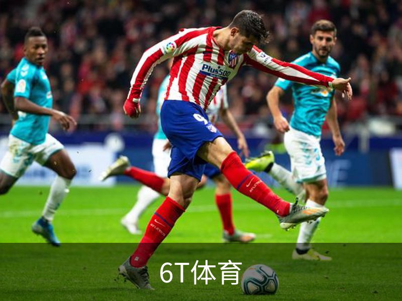 6T体育介绍
